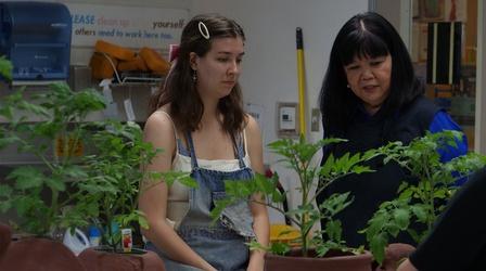 Video thumbnail: Craft in America Artist explores the climate crisis