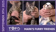 09/04/25 | Isabel, Leslie, and Compass | Mark's Furry Friends