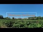 Oklahoma Gardening July 29, 2023