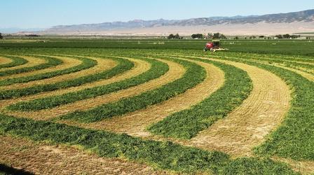 Video thumbnail: Utah Insight Farming and Utah's Drought