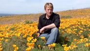 California - Hope, Survival and Resilience