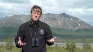 Reshaping the Arctic