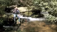 Blue Ridge, the Heart of the Eastern Forest