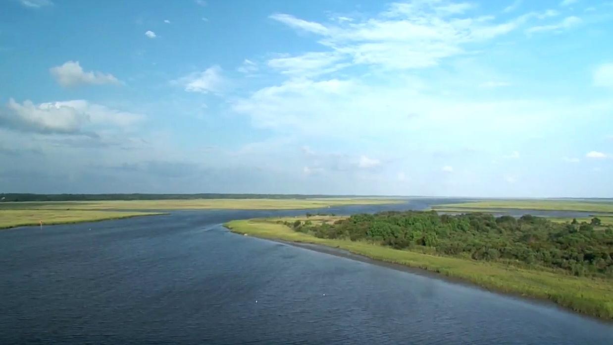 The Ace Basin – A Coastal Treasure