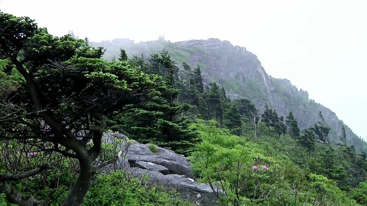Grandfather Mountain – Island in the Sky