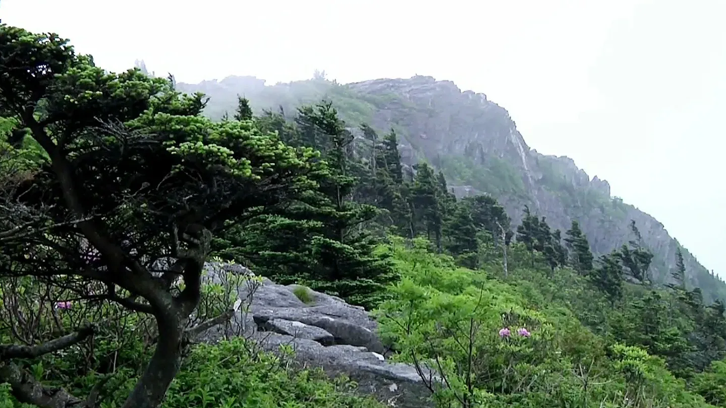 Grandfather Mountain – Island in the Sky