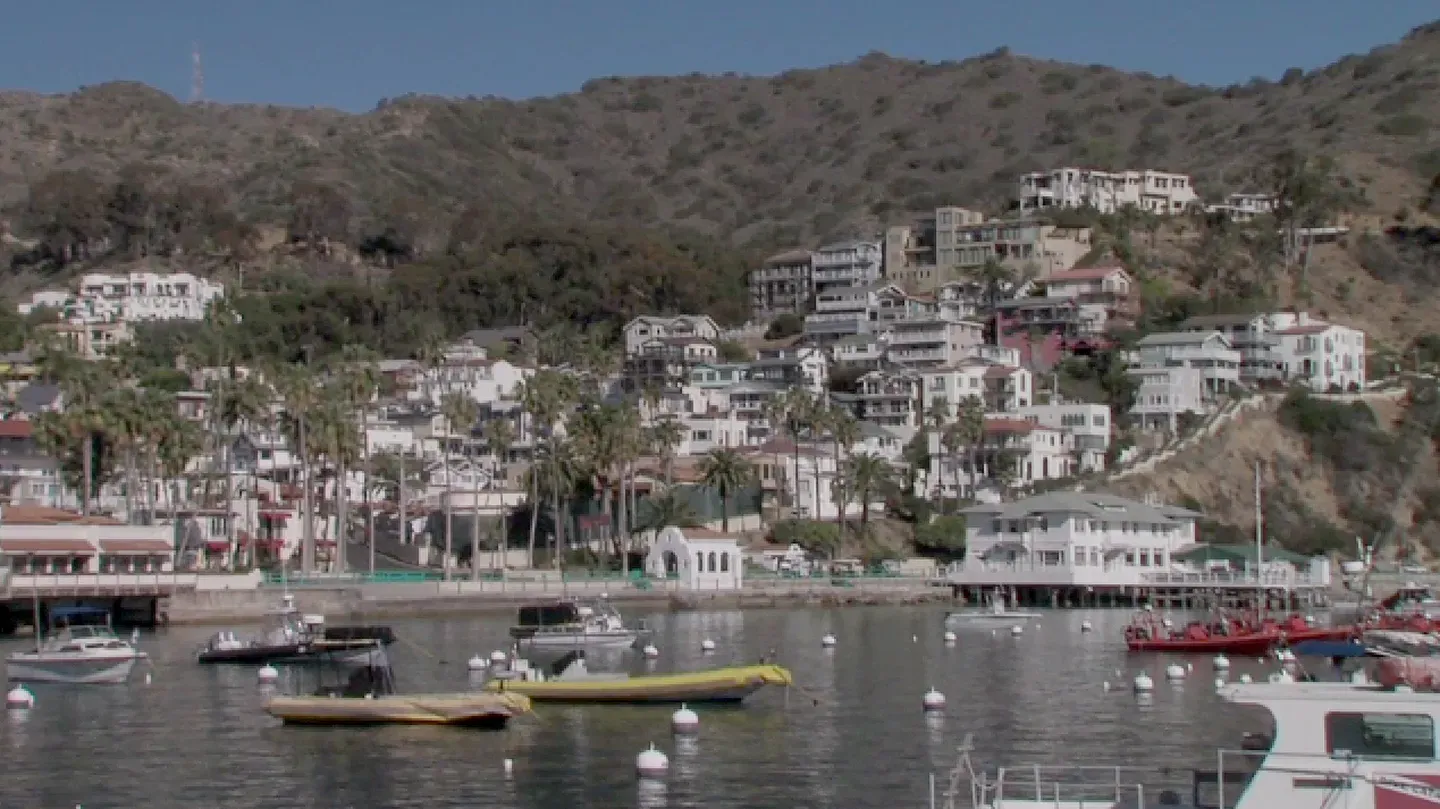 Catalina Island – A Natural History Fairytale