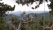 Colorado’s Rocky Mts. – Challenges, Changes