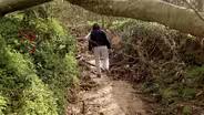 FAMU BioBlitz: Invasives and Nature in Unexpected Places