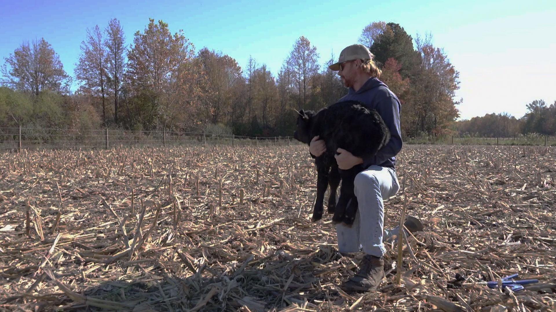 Farming and Perdue Agribusiness. A farmer's sustainable livestock, Award-winning pork tenderloin.