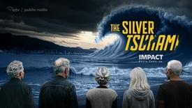 The Silver Tsumani: asset-mezzanine-16x9