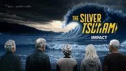 The Silver Tsumani