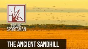 Video thumbnail: Prairie Sportsman The Ancient Sandhill