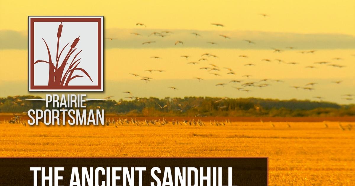 Prairie Sportsman | The Ancient Sandhill | Season 9 | Episode 7 | PBS
