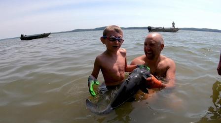 Video thumbnail: Kentucky Afield Ohio River Fishing; Hunting from a Boat; Catfish Noodling