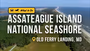Assateague Island National Seashore is More Than Just Wild Horses