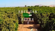 American Grown: My Job Depends on Ag | AGdaptation