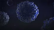 The Pandemic That Lasted 15 Million Years