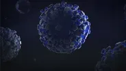The Pandemic That Lasted 15 Million Years