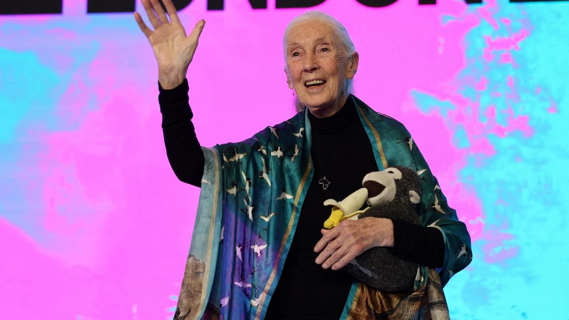 How Jane Goodall Changed The Way People See Animals Pbs News Hour