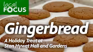 Ohio Mart — Holiday Gingerbread