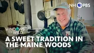 A Sweet Tradition in the Maine Woods