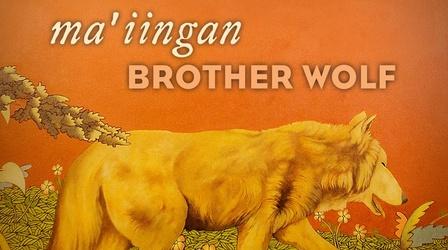 Video thumbnail: PBS Wisconsin Documentaries Ma'iingan: Brother Wolf