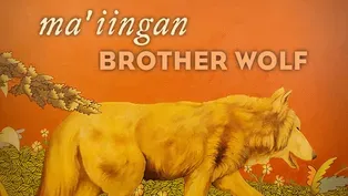 Ma'iingan: Brother Wolf