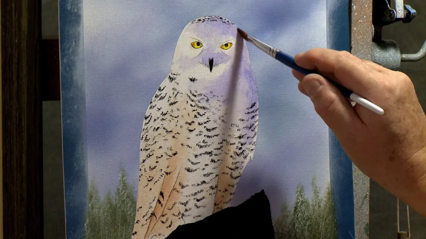 Wilson Bickford "Snowy Owl" Part 2