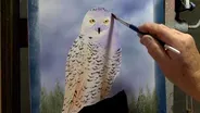 Wilson Bickford "Snowy Owl" Part 2