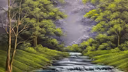 Cascading Stream in the Woods