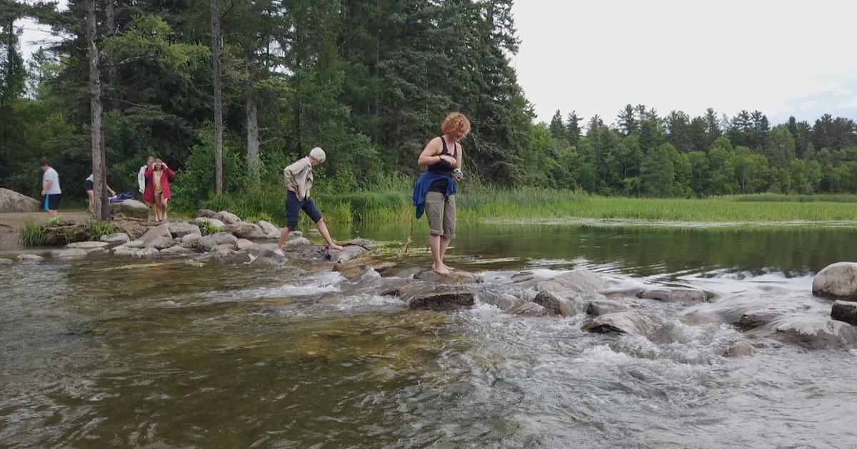 Let's Go, Minnesota! | Itasca State Park w/ artist Pam Luer | Season 2 ...