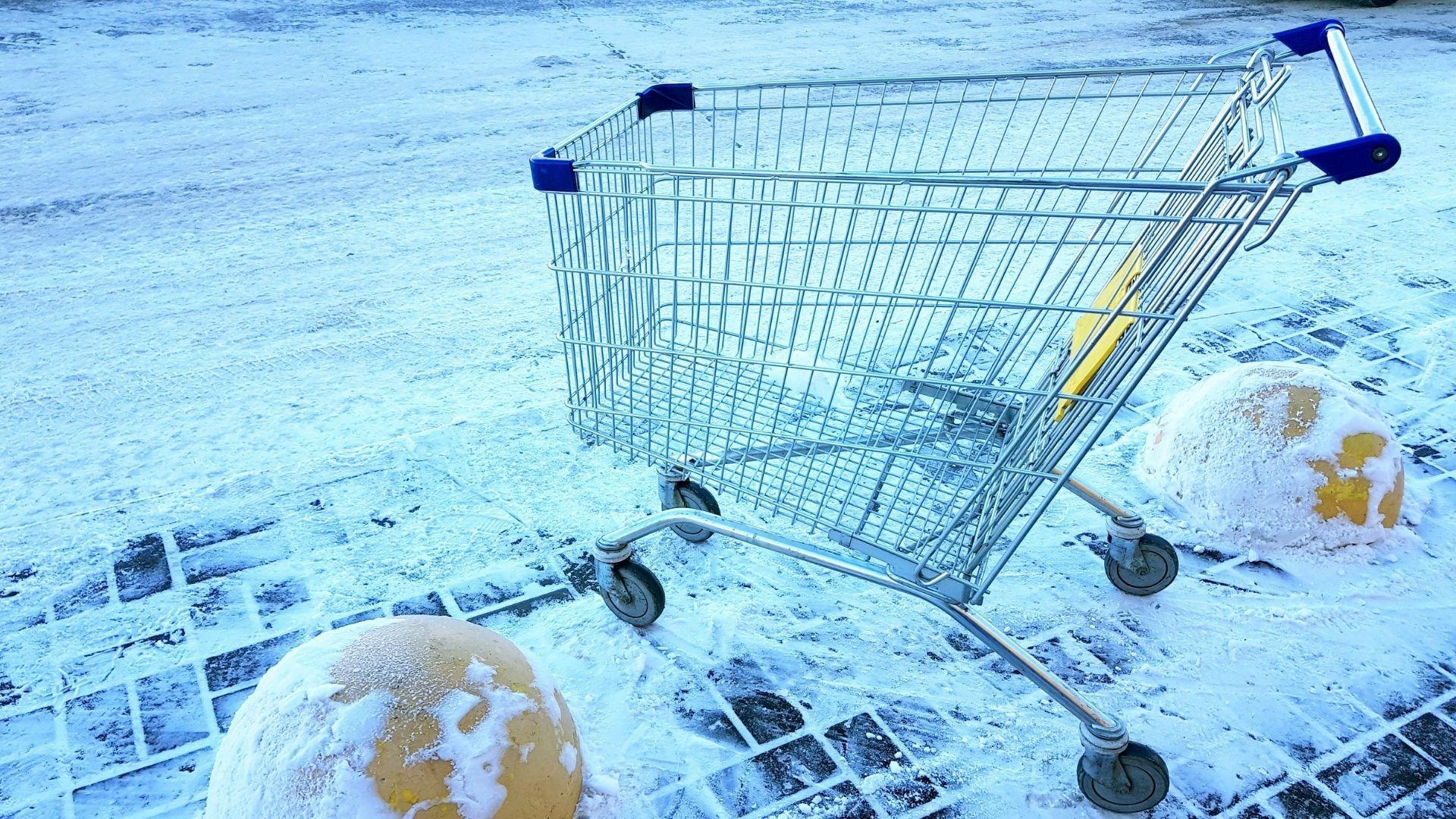 SNAP turmoil in NY + a tour of the state’s holiday traditions.