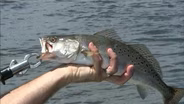 Inshore Grand Slam