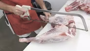 Having A Ball, on the Lamb