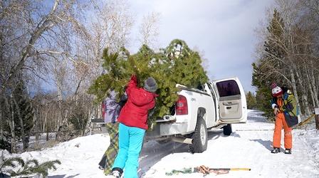 Video thumbnail: Our Wyoming A Christmas Tree Adventure