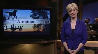 The Index File Section