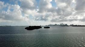 Video thumbnail: Art Loft PAMM Director on Christo's Impact