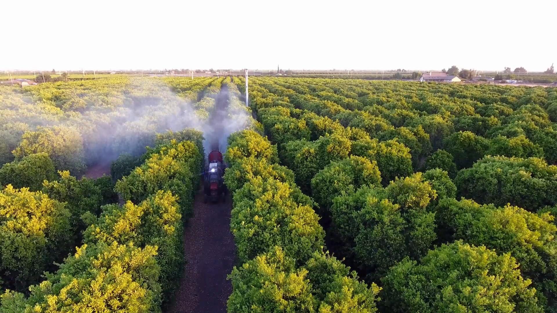 EPA ignored its own advice on this brain-damaging pesticide