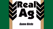 Real Ag  Game Birds Ep704