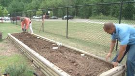 Video thumbnail: The Family Plot Planting beans and more, & aerating your lawn