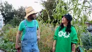 Beets and Beats in the Garden