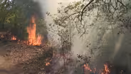 Yurok Fight for Cultural Burning