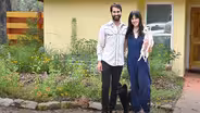 Small Yard Makeover: From Grass to Wildlife Diversity