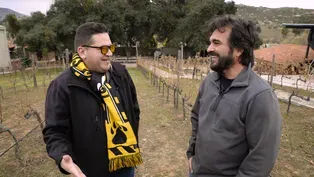 Tecate's Bichi Wine Vineyard