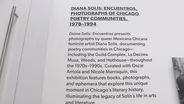 New Poetry Foundation Exhibit Highlights Work of Diana Solis