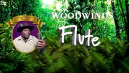 Flute: Meet Karen, the flutist!
