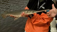 Winter Gar