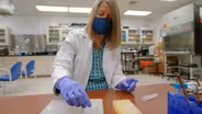 The Stress Science Laboratory