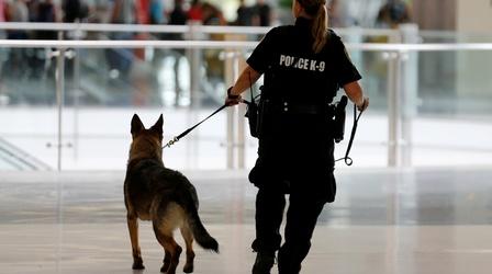 Video thumbnail: PBS NewsHour How police protect K-9 partners from opioid overdoses